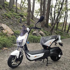 Bicicletta elettrica 48 v20a e <span class=keywords><strong>bike</strong></span> elettrica dirt <span class=keywords><strong>bike</strong></span> a basso prezzo esterno veicolo elettrico 1000W altra bici elettrica - Product Image 3