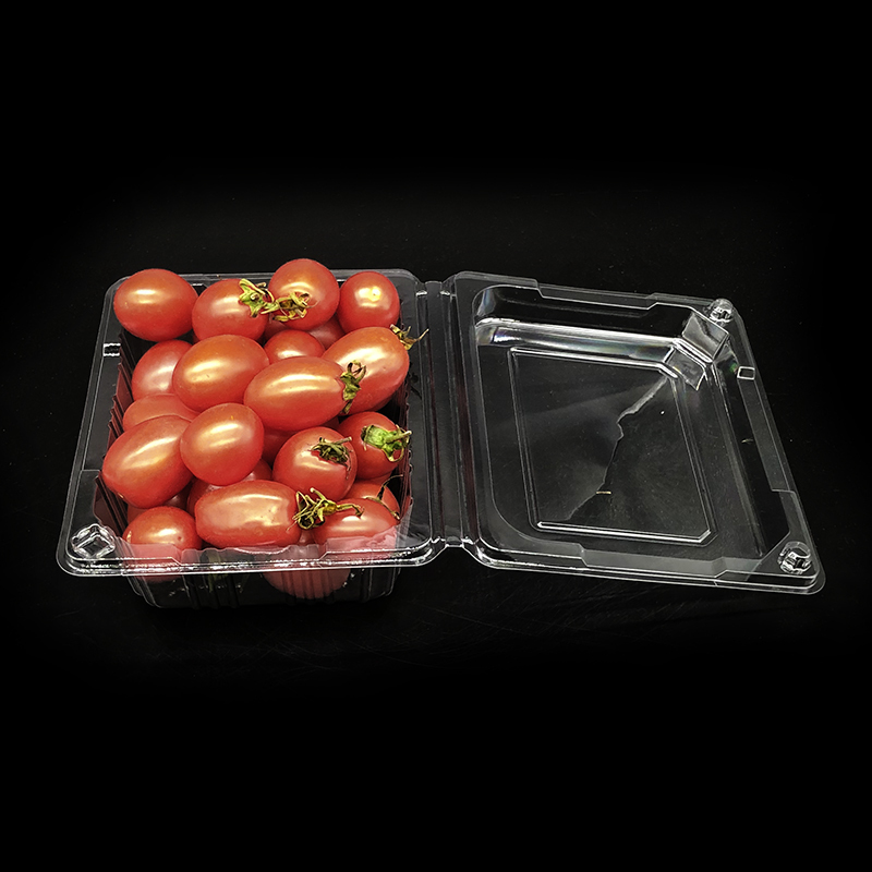 PET hinged containers shown on Feiqi Alibaba listing