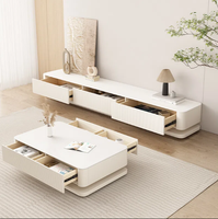 Meubles de Salon de Luxe Moderne Minimaliste, Ensemble Meuble TV avec Cheminée et Tiroir