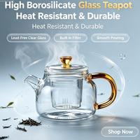 Mini théière en verre borosilicate résistant à la chaleur avec infuseur amovible, poignée ambrée, bouilloire à thé transparente pour thé en vrac