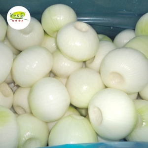 Xuất Khẩu Hành Tây New Zealand Sang <span class=keywords><strong>Dubai</strong></span> - Product Image 4