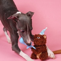 Jouet en peluche pour chien en forme d'écureuil bébé, durable, couineur, interactif, avec sucette, pour chiots et chiens de petite et moyenne taille