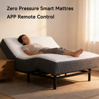 Matelas Électrique Intelligent Réglable en Gros, Capacité 300kg, Hypoallergénique, Respirant, Housse Amovible, Personnalisable, pour Chambre Moderne