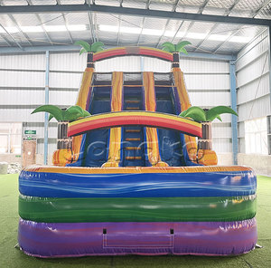 Trượt Nước Thương Mại Sóng Nhiệt Đới 22 Ft Trượt Hồ Bơi Bơm Hơi Trượt Bơm Hơi Sóng Nhiệt Đới Có Nước - Product Image 4