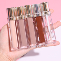 Oem low quantité minimale de commande dropshipping vendeurs cosmétiques brillant biologique parfumé brillant à lèvres marque privée