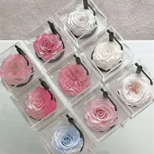 Wholesale Preserved Forever Rose Flower Giant Roses In Bluetooth Audio Speaker Special Gift For Mother's Day