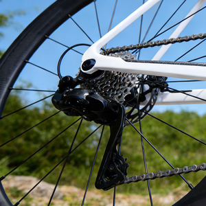 จักรยานเสือหมอบคาร์บอนไฟเบอร์ Di2 Ultegra 2x12 ดิสก์เบรก ยาง Schwalbe ระบบเกียร์เชื่อถือได้ LW-ROAD-14 จักรยานเสือหมอบคาร์บอน Fr - Product Image 5