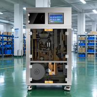 Machine d'emballage automatique de sacs de forme variée