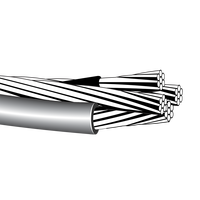 Beste Qualität Chinesischer Hersteller Periwinkle Triplex Service 2-Paar-Edelstahl-Abc-Kabel mit AC SR Neutralleiterklemme