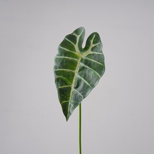 Plante Artificielle CallaFloral Alocasia Verte en PVC pour Décoration Intérieure, Style INS pour Mariage, E-commerce Transfrontalier - Product Image 3