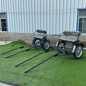 Carroza Eléctrica de Dos Ruedas Zhenda con Estructura de Tubo Galvanizado - Product Image 6