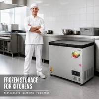 Congélateur coffre commercial à froid direct, monotempérature, autonome pour cuisine et supermarché