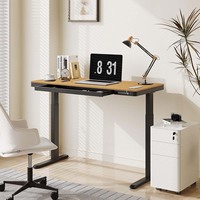 Ergonomischer Elektrischer Stehschreibtisch für das Home Office, Höhenverstellbar, Konvertierbares Design mit Schublade und Ladeanschlüssen, Moderner Sitz-Steh-Schreibtisch