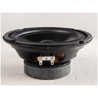 Haut-parleur de plafond professionnel 6,5 pouces 8 ohms 30-50 Watts pour sonorisation DIY – Fabrication chinoise