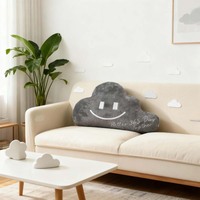 Nouveauté Oreillers en peluche nuage gris ultra doux en flanelle avec broderie sourire, coussin confortable, décoration d'intérieur