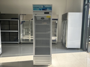 Refrigerador Vertical Comercial para Bebidas <span class=keywords><strong>Coca</strong></span>-<span class=keywords><strong>Cola</strong></span> con Puerta de Vidrio - Product Image 6