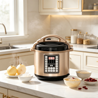 Cuisinière à pression électrique 6L 1000W 220V en acier inoxydable, multicuiseur numérique 10-en-1 avec minuterie 24H CE