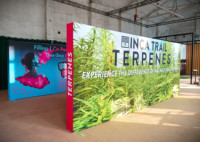 Vente flash : Stand d'exposition en tissu tendu 10 x 20 pieds avec cadre en aluminium, toile de fond pour stand d'exposition