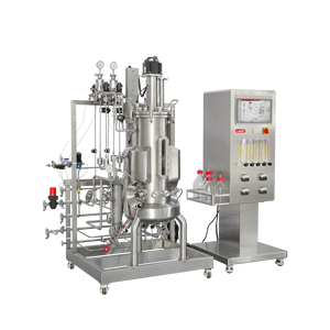 เครื่องปฏิกรณ์ชีวภาพแบบนำร่อง100L เครื่องปฏิกรณ์ชีวภาพขนาด20ลิตร - Product Image 3