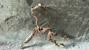 Goedkope Bonsai Aquarium Van Drijfhout Wortels Groothandel - Product Image 6