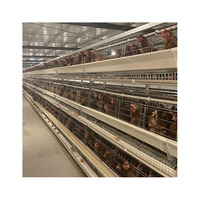 Nouveau Équipement de Ferme Avicole Type A pour Cages de Poules Pondeuses