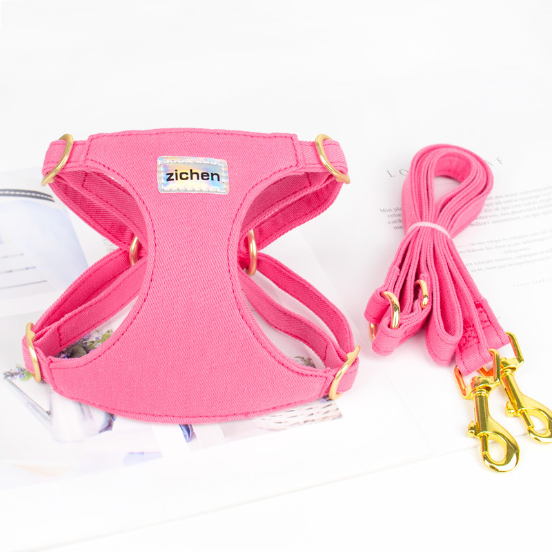 Rose red-matching leash