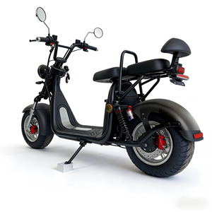 <span class=keywords><strong>Moto</strong></span> électrique 2 places en alliage d'aluminium 2000W, best-seller, avec sacoches de voyage longue distance pour adultes, scooter à deux roues - Product Image 2