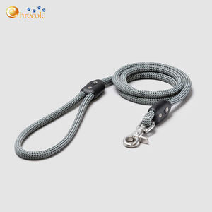 Venta al por mayor personalizado perro mascota Correa cuerda larga de nailon con decoración de piel de encaje resistente antideslizante plomo duradero fibra de nailon ESTILO OCCIDENTAL - Product Image 1