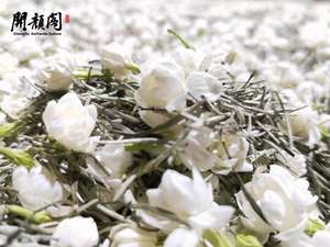 KAIYANGE nuevo producto té de jazmín seco orgánico té de flores más famoso de China té de jazmín GanLuPiaoXue - Product Image 5