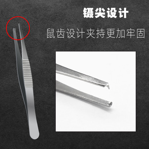 Tissue forceps, stainless steel toothed <b>hooks</b>, dressing forceps, ophthalmic corrosion-resistant first aid kit accessories clips - Product Image 5