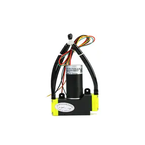 12V/24V Einzel-/Doppelkopf kleine bürstenlose Motor membran druckpumpe Mini-Vakuumpumpe