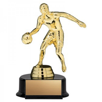 Trophée du meilleur champion de basket-ball design mvp