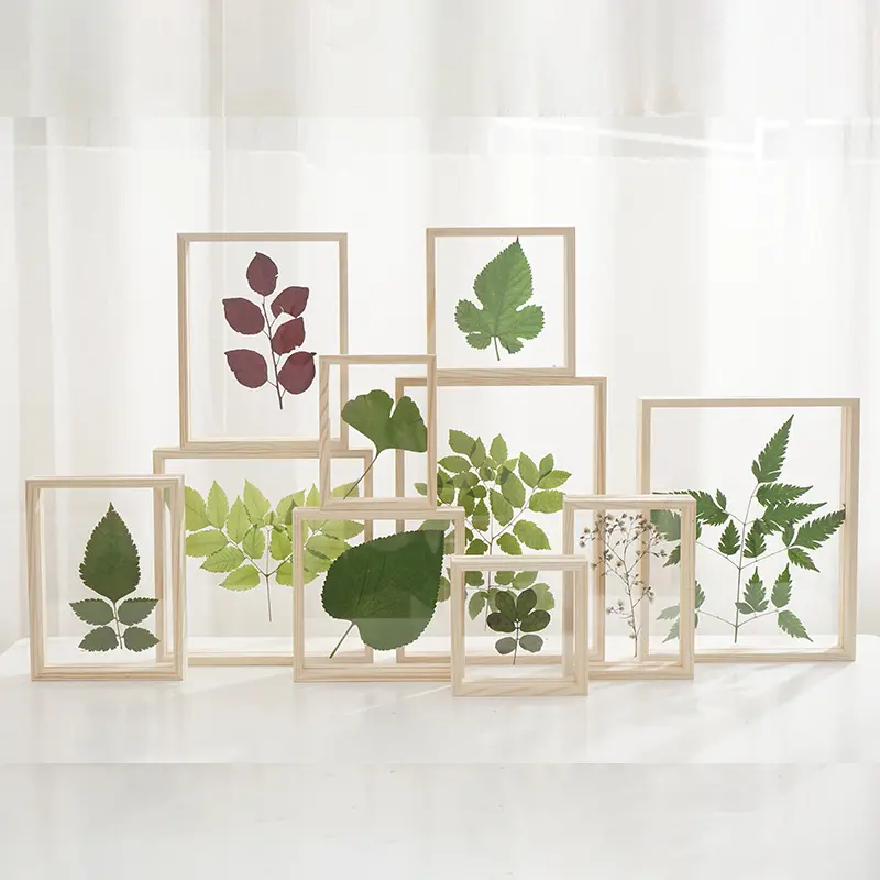 Wholesale Custom Natural Mdf Wooden Shadow Box Frames Acrylic Glass Plant Floating Wood Picture Photo Frame for Home Decor