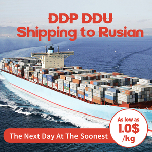 Servicio de Logística DDP Puerta a Puerta, Transporte Marítimo Express, Agente de Carga de China a Todo el Mundo - Product Image 1