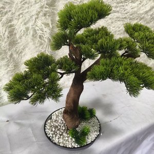 Nhà Hoặc Văn Phòng Trang Trí Nội Thất Nhựa Trong Nhà Bonsai Thông Bảng Cây Hoa Loại Cây Nhân Tạo Với Anted Chi Nhánh - Product Image 4