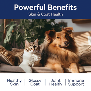 <span class=keywords><strong>Aceite</strong></span> <span class=keywords><strong>de</strong></span> Salmón OEM con Omega 3, <span class=keywords><strong>Aceite</strong></span> <span class=keywords><strong>de</strong></span> Hígado <span class=keywords><strong>de</strong></span> Pescado para Gatos, Piel Seca Natural, <span class=keywords><strong>Aceite</strong></span> <span class=keywords><strong>de</strong></span> Salmón Silvestre <span class=keywords><strong>de</strong></span> Alaska <span class=keywords><strong>de</strong></span> Marca Personalizada - Product Image 5