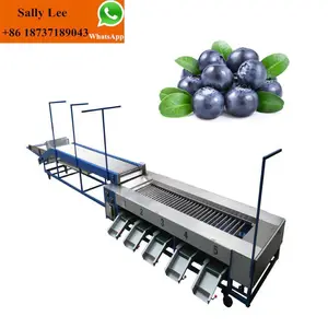 Otomatis Apple Grading Kentang Tanggal Buah Blueberry Mesin Sortasi