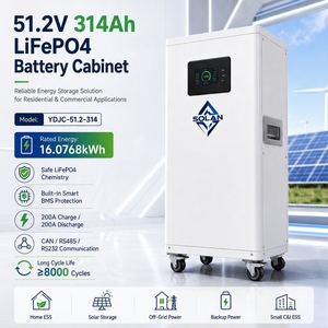 แบตเตอรี่โซลาร์เซลล์ SOLAN LiFePO4 16kWh 51.2V 314AH ออลอินวัน สำหรับระบบไฮบริด/ออฟกริด สำหรับเก็บพลังงานในครัวเรือน - Product Image 1