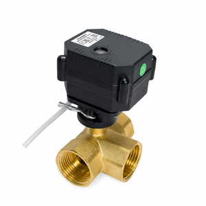 ผู้ผลิตมอเตอร์บอล Flomarvel Fh-mo แบบเสียบปลั๊ก US ทำจากสแตนเลส 110v Npt ราคาประหยัด - Product Image 5