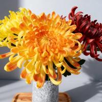 Fleur artificielle en latex de haute qualité, grande chrysanthème blanche et orange à tige unique, fleurs au toucher réel pour la décoration de la maison et des mariages