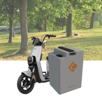 Batterie LiFePO4 Lezet 48V/60V/72V 20Ah/25Ah/50Ah 1200Wh, durée de vie de 1000 cycles, certifiée CE pour les véhicules électriques