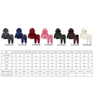 Conjunto Deportivo de 2 Piezas para Adolescentes, Personalizable, Liso, de Terciopelo, para Niñas, Ropa Deportiva de Invierno - Product Image 2