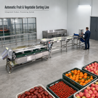 Datumsorteermachine voor hygiënische voedselverwerking, modulaire transportbandopstelling en commerciële verpakkingsapplicaties