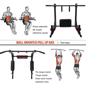 Barra de dominadas de alta resistencia ZYFIT para montaje en pared, estación de dominadas y paralelas para gimnasio en casa - Product Image 5