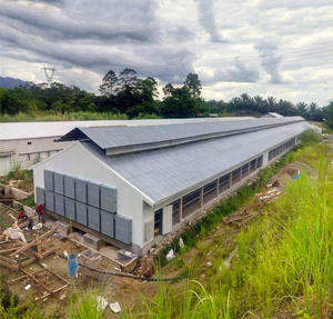 XGZ ผู้จัดจำหน่ายจากจีน โรงเรือนเลี้ยงไก่โครงสร้างเหล็ก อุปกรณ์ฟาร์มสัตว์ปีก ราคา - Product Image 5