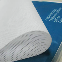 LETOP 1 sac de lingettes de nettoyage 29cm x 30cm Gentway Cleanroom Wiper pour imprimante grand format à solvant