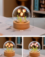 Kit DIY Veilleuse LED Tulipe Artificielle en Verre avec Mini Boule de Cristal Kanglong - Petite Veilleuse à Dôme en Verre