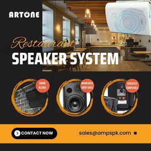 Hệ thống loa âm thanh ngoài trời gắn tường, bộ khuếch đại đầy đủ, 100V/8ohm, dành cho nhà hàng - Product Image 5
