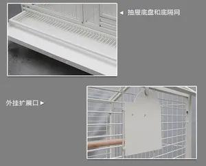 लक्जरी बड़े पालतू पक्षी आइमो पालतू फैक्टरी थोक - Product Image 6