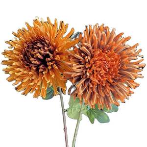 Branche <span class=keywords><strong>de</strong></span> fleur <span class=keywords><strong>de</strong></span> chrysanthème d'<span class=keywords><strong>empereur</strong></span> en polyester artificiel fait à la main longue durée pour la Saint-Valentin - Product Image 4